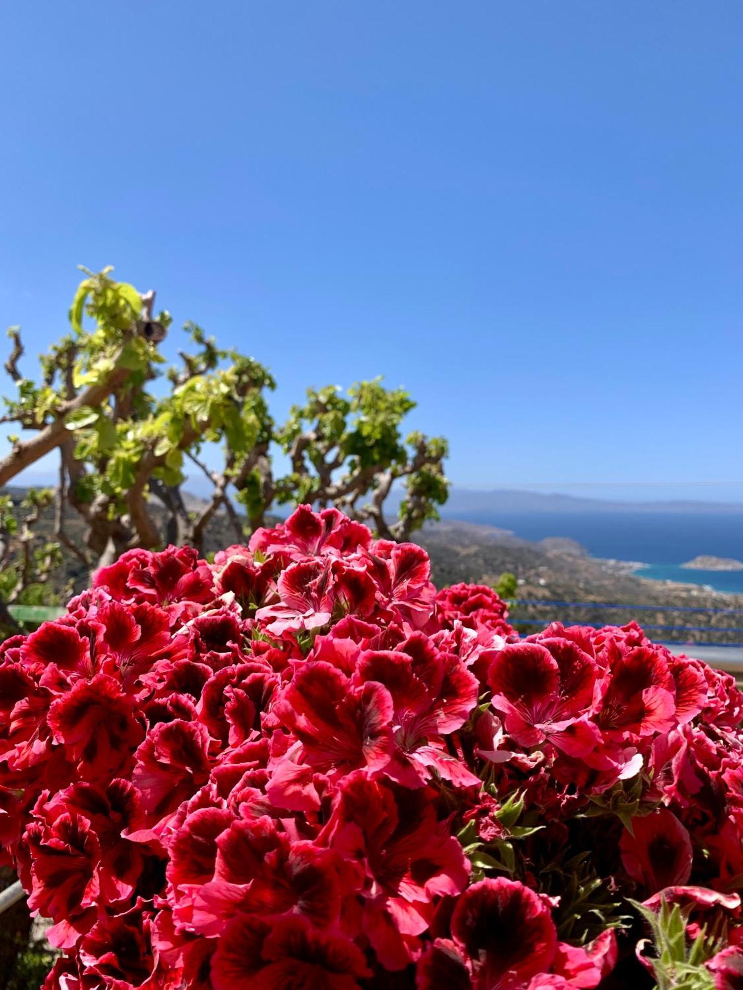 Morea Bay View Tourloti ภายนอก รูปภาพ